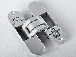 Скрытые петли Скрытые петли